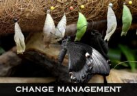 Change Management