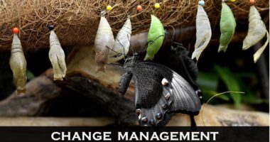 Change Management